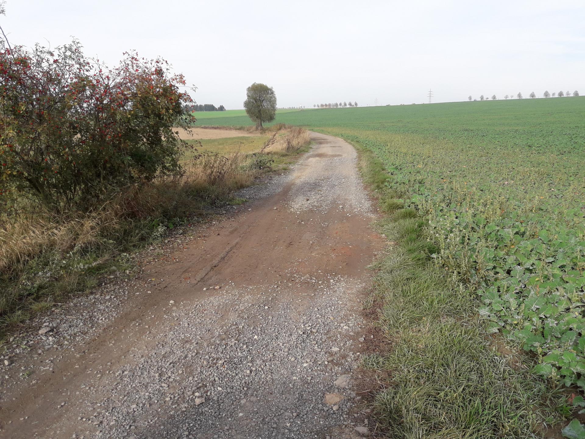 Schmutzwasserverbindungsleitung Braunschwende-Popperode im Jahr 2019/20, Bild 2