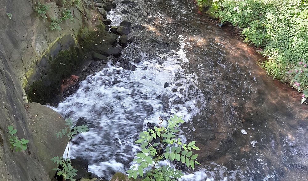 Bild von der Entwässerung der Kläranlage Sangerhausen in die Gonna