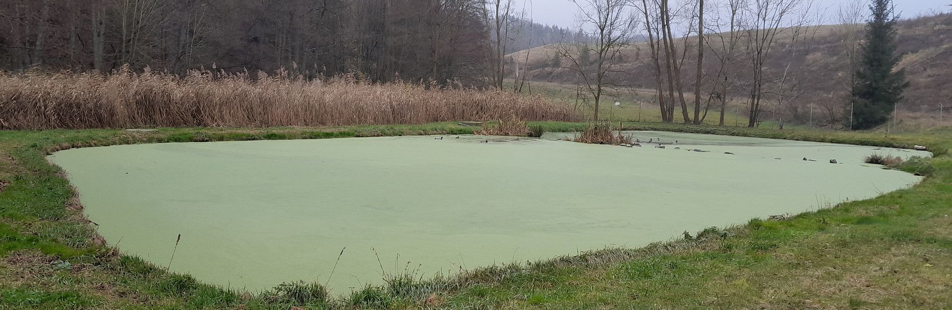 Kläranlage Wolfsberg