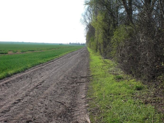Straßendecke vor den Bauarbeiten